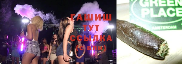 PSILOCYBIN Алзамай