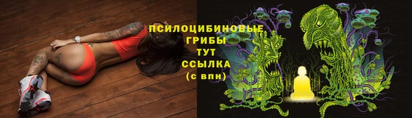PSILOCYBIN Алзамай