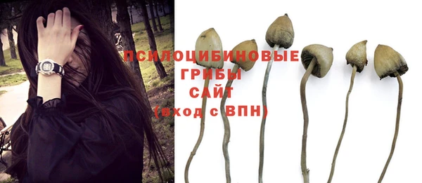 не бодяженный Алексин