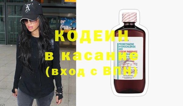 индика Карабаш