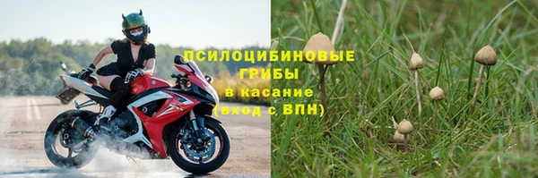 не бодяженный Алексин