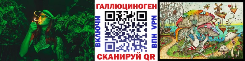 Галлюциногенные грибы Psilocybe  Донецк 